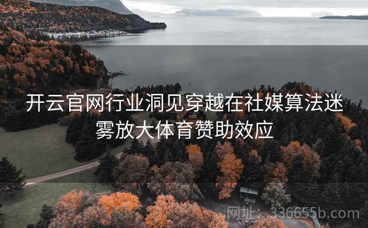 开云官网行业洞见穿越在社媒算法迷雾放大体育赞助效应 开云官网行业洞见穿越在社媒算法迷雾放大体育赞助效应