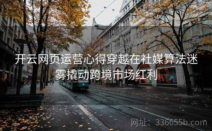 开云网页运营心得穿越在社媒算法迷雾撬动跨境市场红利 开云网页运营心得穿越在社媒算法迷雾撬动跨境市场红利