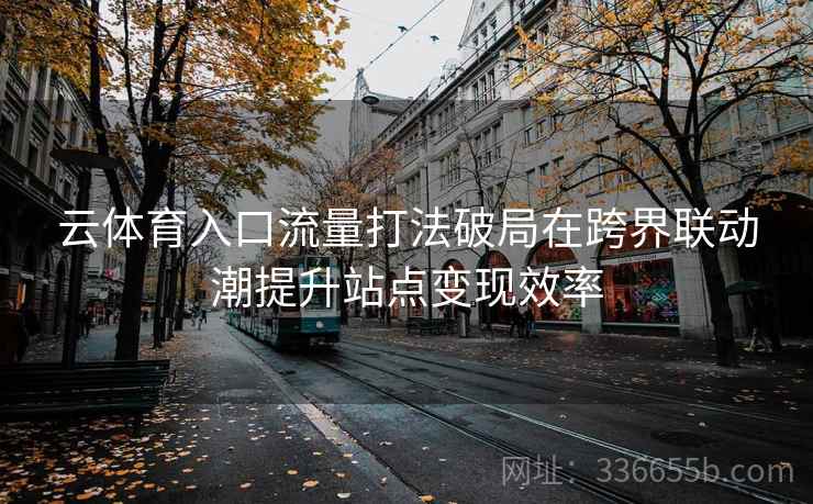云体育入口流量打法破局在跨界联动潮提升站点变现效率 云体育入口流量打法破局在跨界联动潮提升站点变现效率
