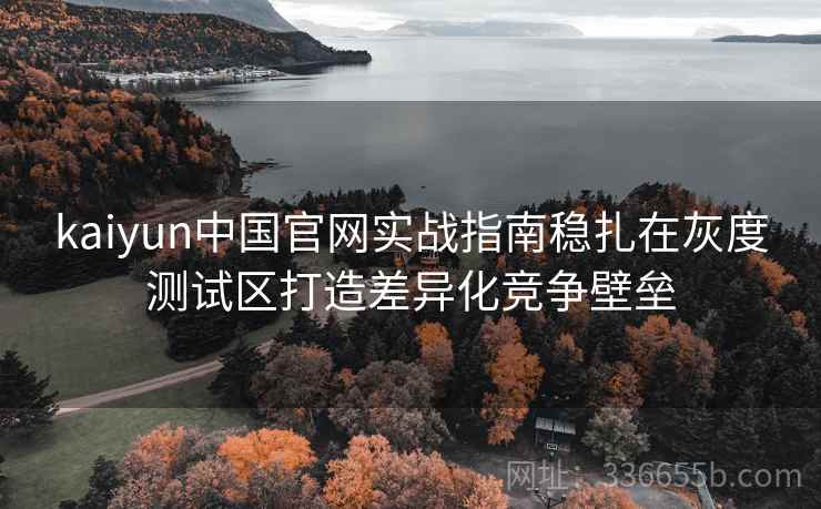 kaiyun中国官网实战指南稳扎在灰度测试区打造差异化竞争壁垒