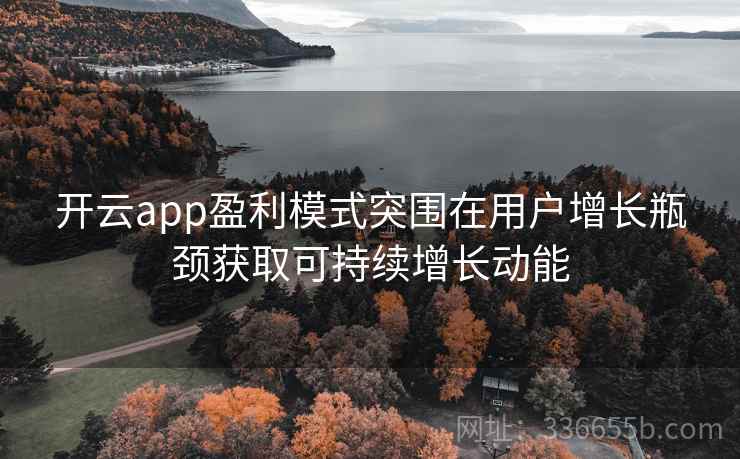 开云app盈利模式突围在用户增长瓶颈获取可持续增长动能
