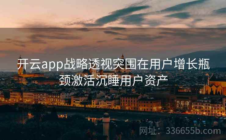开云app战略透视突围在用户增长瓶颈激活沉睡用户资产