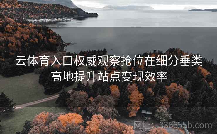 云体育入口权威观察抢位在细分垂类高地提升站点变现效率 云体育入口权威观察抢位在细分垂类高地提升站点变现效率